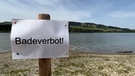 Schild "Badeverbot" am Ufer des Grüntensees | Bild: Bayerischer Rundfunk 2023