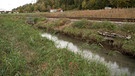 Durch Biberschäden lahmgelegte Bahntrasse bei Sonthofen | Bild: Bayerischer Rundfunk 2023