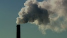Klimaneutralität: Strategien zur CO2-Entnahme | Bild: Bayerischer Rundfunk 2024