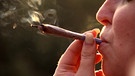 Cannabisgesetz: Klage gegen bayerische Umsetzung | Bild: Bayerischer Rundfunk 2024