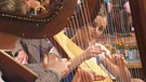 Das Harfenduo Bernhard Bocksberger beim Musikantentreffen am Starnberger See | Bild: Bayerischer Rundfunk 2023