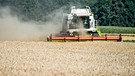 Landwirtschaft | Bild: Bayerischer Rundfunk 2024