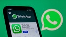 BR24-Nachrichten bei WhatsApp | Bild: Bayerischer Rundfunk 2024