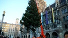 Münchner Christbaum aufgestellt | Bild: Bayerischer Rundfunk 2024