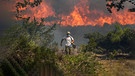 Waldbrände in Südeuropa | Bild: Bayerischer Rundfunk 2023