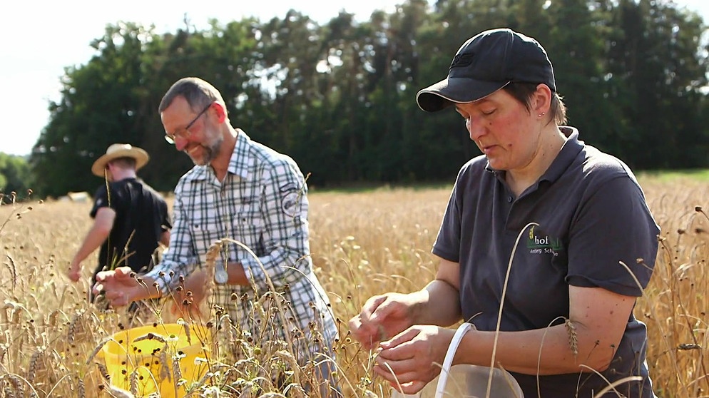 Stadt, Land, Beides: Solidarische Landwirtschaft | Zwischen Spessart ...