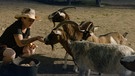 Tiergnadenhof | Bild: BR Fernsehen