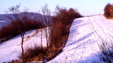 Aus dem Film "Topographie - Heckenlandschaften", Dieter Wieland, 1993 | Bild: Bayerischer Rundfunk