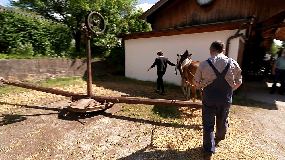 Wie das Dreschen von Getreide um 1900 aussah, zeigt Sebastian Bichler aus Umrathshausen mit einem alten landwirtschaftlichen Gerät, dem Pferdegöpel. | Bild: Bayerischer Rundfunk 2023