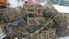 Aufräumen am Meeresgrund: eine Schiffsladung voller alter Reusen. | Bild: Gebhard