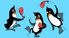 Dreimal Pinguin Pudding - Motivausschnitte aus "Pinguin stellt sich vor" | Bild: BR | Tanja Begovic