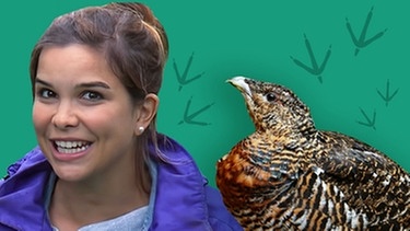 Collage von Anna und einem Auerhuhn | Bild: BR