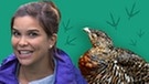 Collage von Anna und einem Auerhuhn | Bild: BR