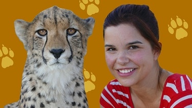 Collage von Anna mit einem Gepard | Bild: BR