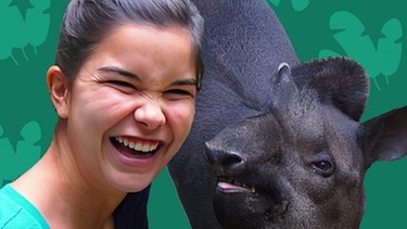 Collage von Anna und einem Tapir | Bild: BR