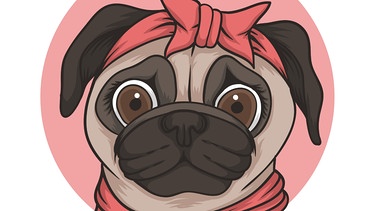 Illustration: Ein Mops (Hund) mit einer roten Schleife und einem roten Schal | Bild: colourbox.com