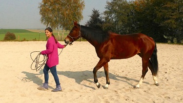 Anna lernt reiten -  Mit Pferden sprechen (Folge 5) / Respekt und Vertrauen sind wichtig beim Sprechen mit Pferden. Anna versucht es mit Liselotte.
| Bild: BR | Text und Bild Medienproduktion GmbH & Co. KG