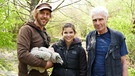 Knochen für den Bartgeier / Dieser junge Bartgeier ist zwei Monate alt und wird in gut 4 Wochen ausgewildert.
| Bild: BR / Text und Bild Medienproduktion GmbH & 