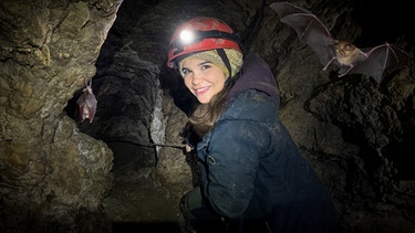 Nachwuchs bei den Großen Hufeisennasen | Anna seilt sich in einer Höhle nahe Hohenburg ab, in der die Fledermäuse "Große Hufeisennasen" wohnen. | Bild: BR | Text und Bild Medienproduktion GmbH & Co. KG | Katja Schübl