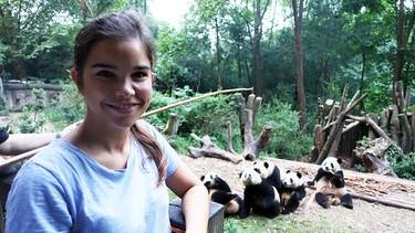 Wie angelt man sich einen Großen Panda? | Anna in der Aufzuchtstation bei den Panda-Babys | Bild: BR | textundbild medienproduktion