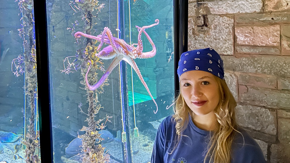 Unterwasserkino für den Oktopus | Im Aquarium der kroatischen Hafenstadt Pula schaut sich Nina Oktopusse aus der Nähe an. | Bild: BR | Text und Bild Medienproduktion GmbH & Co. KG | Marcella Müller