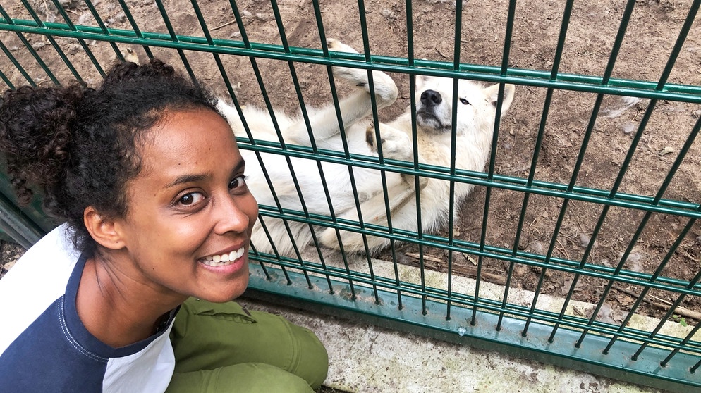 Die mit dem Wolf heult | Pia besucht die Arktische Jungwölfin Luna im Wolfcenter Dörveden. | Bild: BR | Text und Bild Medienproduktion GmbH & Co. KG | Kathrin Gutzeit