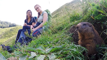 Im Reich der Murmeltiere (Folge 3) | Bei einer Wanderung macht Anna Bekanntschaft mit Naturforscherin Steffi. Sie möchte die Murmeltiere in den Bayerischen Alpen zählen.
| Bild: BR | Text und Bild Medienproduktion GmbH & Co. KG