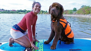Ein Tag beim Hundeschwimmen / Neufundländer „Justus“ hat zur Sicherheit eine Schwimmweste an
| Bild: BR | Text und Bild Medienproduktion GmbH & Co.KG