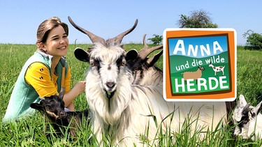 Keyvisual "Anna und die wilde Herde" | Bild: BR/Text und Bild Medienproduktion/Marcella Müller; Montage: BR