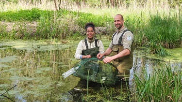 Auf Schatzsuche im Spreewald | Für Pia und Ranger Alex geht es ins Wasser. Sie sind auf Amphibien-Suche und kontrollieren Reusen, die zum Monitoring verwendet werden. | Bild: BR | Text und Bild Medienproduktion GmbH & Co. KG | Sabrina Nitschke