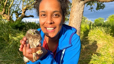 Superflieger auf der Streuobstwiese | Pia hilft einen jungen Steinkauz zu beringen. Die selten gewordenen Eulenvögel finden auf einer Streuobstwiese tolle Nistmöglichkeiten. | Bild: BR | Text und Bild Medienproduktion GmbH & Co. KG | Anna-Louise Bath