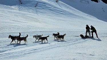 Auf Husky-Tour (S01/E16) | Bergauf muss schon mal mitgeholfen werden. Um den Hunden die Arbeit zu erleichtern, müssen die Schüler auch selbst ein bisschen mit anschieben. | Bild: BR | Bewegte Zeiten Filmproduktion GmbH | Megan Ehrmann