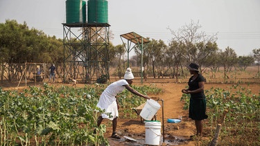 Dorfbewohner in Simbabwe füllen Wassereimer auf einer Parzelle, die Teil eines von der US-Behörde für internationale Entwicklung finanzierten Programms für klimagerechte Landwirtschaft ist. | Bild: dpa-Bildfunk/Aaron Ufumeli