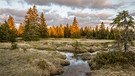 Moorlandschaft im Bayerischen Wald | Bild: Rainer Simonis/Knesebeck Verlag