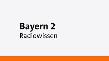 Radiowissen - Eine Sendung auf Bayern 2 | Bild: Bayern 2