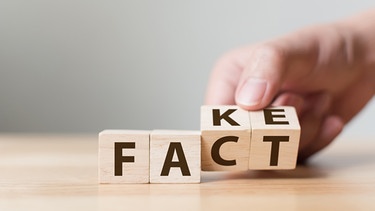 Eine Hand bewegt kleine Würfel mit der Aufschrift Fact und Fake. | Bild: stock.adobe.com_Monster Ztudio