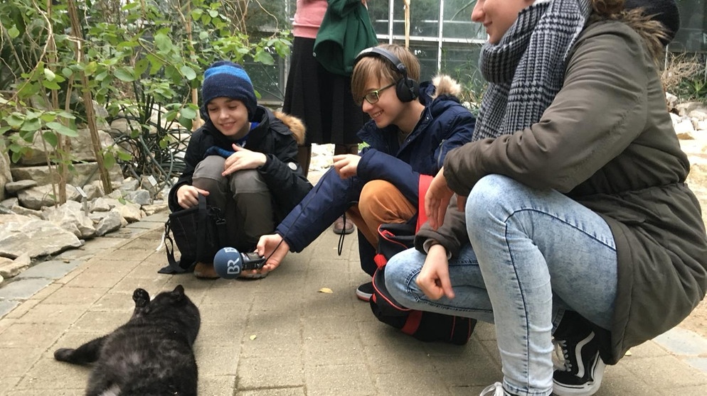 Eindrücke vom Turnon 2018 Basisworkshop Bayreuth Gruppe 1. | Bild: BR