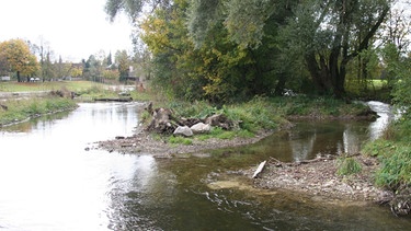 Naturerlebnis an der Würm | Bild: Stiftung Zuhören