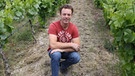 Winzer Thomas Schenk aus Randersacker hat sich bewusst für den Bio-Weinbau entschieden. | Bild: Anke Gundelach BR