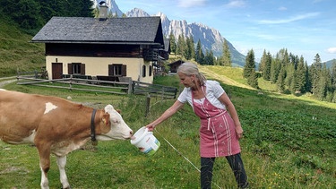 Almwirtin Regina Leybold füttert ein Kalb auf der Klingelbergalm. Im Hintergrund sind die Mandlwände des Hochkönigs zu sehen. | Bild: Ulrike Nikola / BR