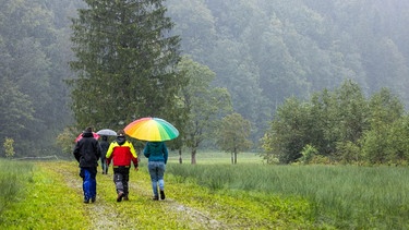 Bei Dauerregen zeigt sich die Landschaft bei Oberstdorf in den Allgäuer Alpen trüb. | Bild: picture alliance / Jan Eifert | Jan Eifert