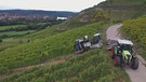 Weinlese mit dem Steillagenvollernter in den Weinbergen bei Thüngersheim.  | Bild: BR