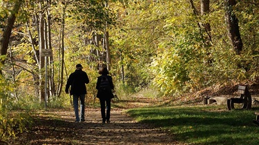 Zwei Menschen gehen in einem herbstlichen Wald spazieren | Bild: picture alliance/dpa | Carsten Koall