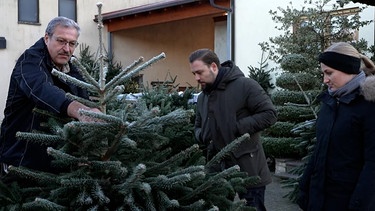 Junges Paar beim Weihnachtsbaumkauf | Bild: BR