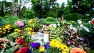 Blumen auf einem Friedhof (Symbolbild) | Bild: picture alliance/dpa | Hauke-Christian Dittrich