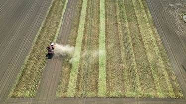 Ein Bauer wirbelt bei der Rübenernte Staub auf. | Bild: picture alliance/dpa | Jan Woitas