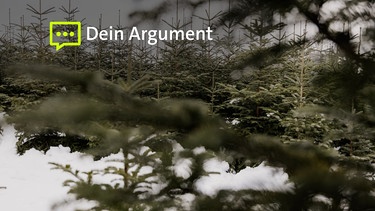 Eine Weihnachtsbaumplantage im Schnee.  | Bild: BR/Marina Giglinger