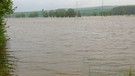 Hochwasser in  Donauwörth (Schwaben) | Bild: Judith Zacher