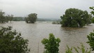 Hochwasser in  Donauwörth (Schwaben) | Bild: Judith Zacher