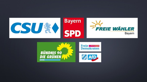 Logos der sechs Parteien, die Umfragen zufolge den Einzug in den bayerischen Landtag schaffen können. | Bild: BR